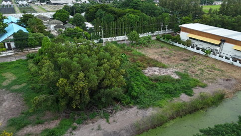 ขายที่ดินจัดสรร มบ. บ้านสวนตะวันธรรม (ติดวัดพระธรรมกาย) ตำบลคลองสอง คลองหลวง ปทุมธานี