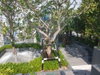 listing thumbnail image 45