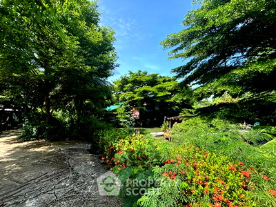 ที่ดิน โรงเรียนนานาชาติเด่นหล้า : ที่ดิน ขาย ใน คลองข่อย ปากเกร็ด นนทบุรี (ID 2304067)