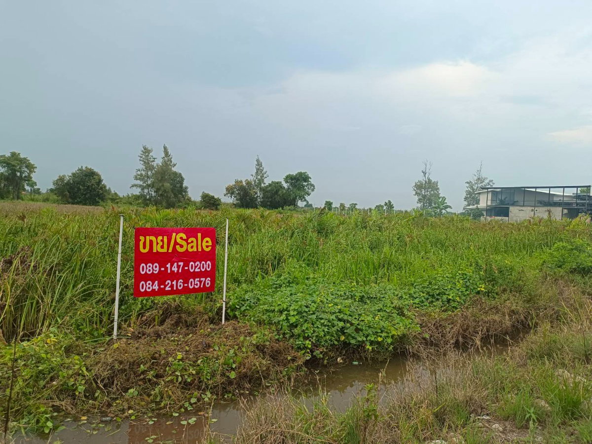 รูป ขาย ที่ดินเปล่า 1 ไร่ ทีธัญบุรี คลองห้า - รูปที่ 2/6