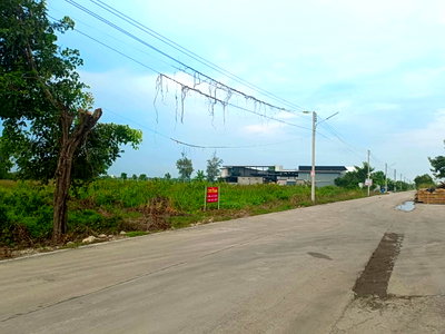 ขายที่ดิน : ขาย  ที่ดินเปล่า 1 ไร่  ทีธัญบุรี คลองห้า