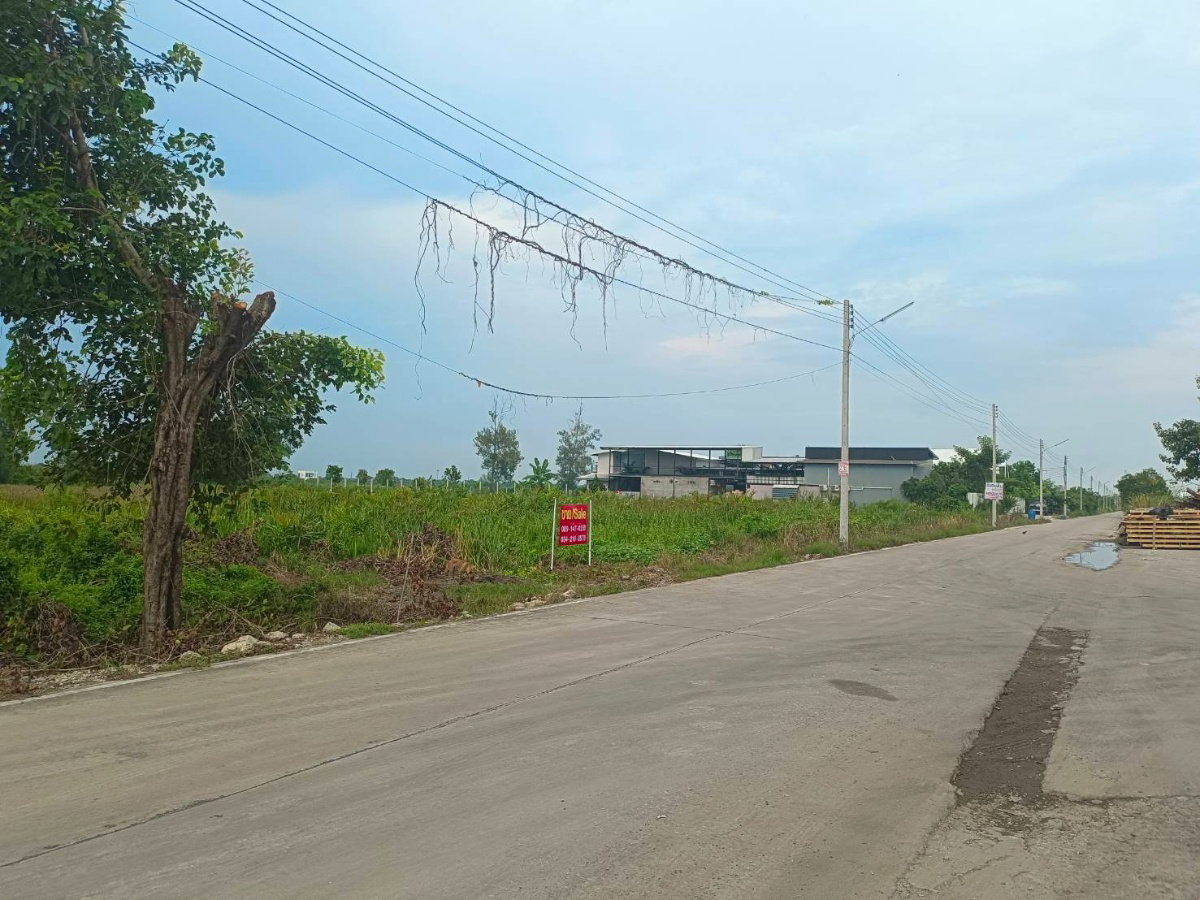 รูป ขาย ที่ดินเปล่า 1 ไร่ ทีธัญบุรี คลองห้า - รูปที่ 1/6