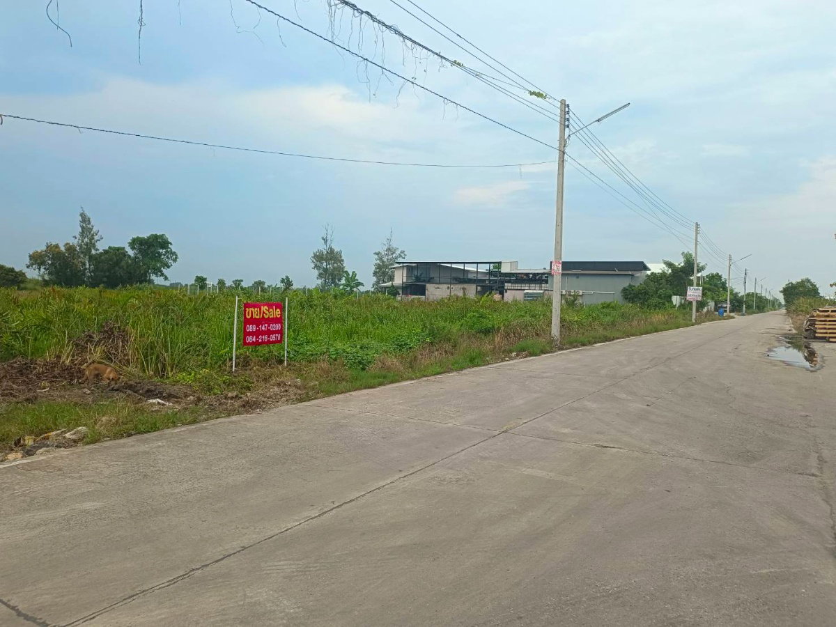 รูป ขาย ที่ดินเปล่า 1 ไร่ ทีธัญบุรี คลองห้า - รูปที่ 4/6
