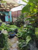 listing thumbnail image 15