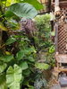 listing thumbnail image 13