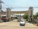 project-ban-rom-ngao-mai-image-alt