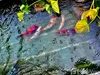 listing thumbnail image 19