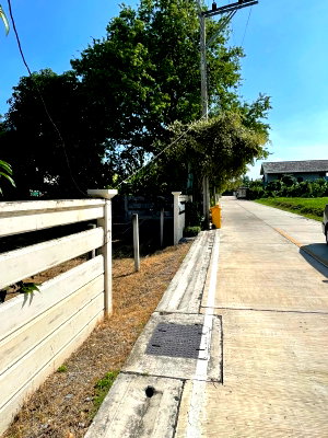 ที่ดิน โรงเรียนนานาชาติเด่นหล้า : K'Amm190925  ขายที่ดินเปล่า ถมแล้ว 100 ตร.วา  ซอย ท่าอิฐ นนทบุรี (ไทรม้า 3 แยก 1 )