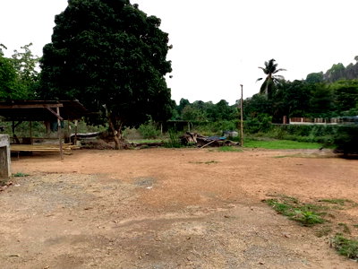 Land for sale Tha Pla Uttaradit : Beautiful hillside land for sale – 17 rai 253 sq wah, with 20-year-old teak trees planted over 12 rai. Located in Nam Man  Tha Pla  Uttaradit.