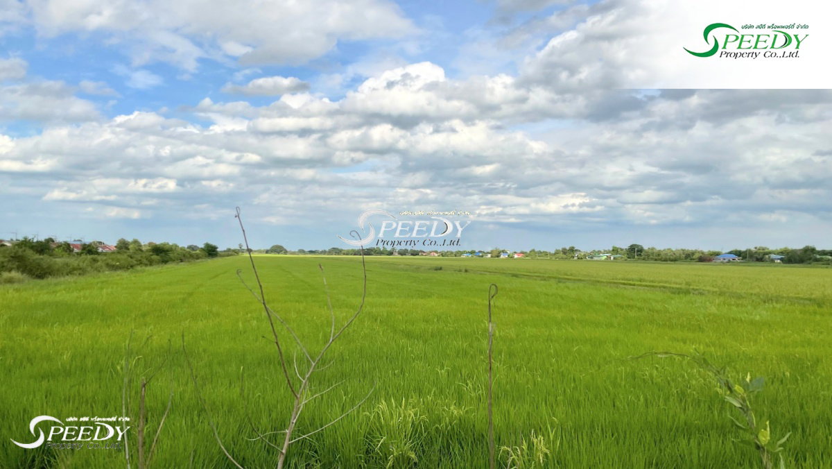 รูป ที่ดิน ลำลูกกา ปทุมธานี 30 กว่าไร่ 🌳 ที่สวย ทำเลดี เหมาะลงทุน ✨ - รูปที่ 4/4