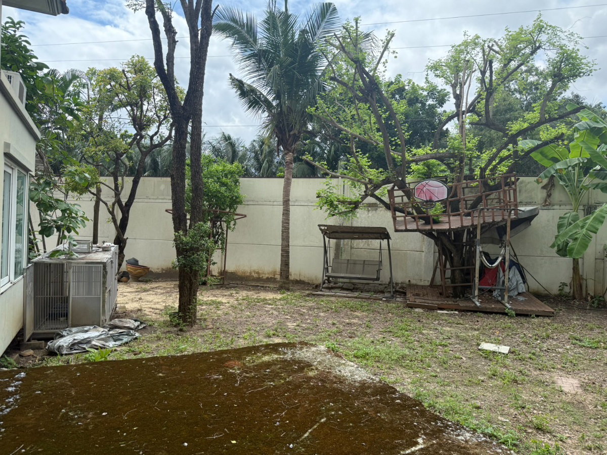 รูป ขายบ้านเดี่่ยว หมู่บ้านชัยพฤกษ์ วัชรพล Tel. 095-089-2688 - รูปที่ 4/16