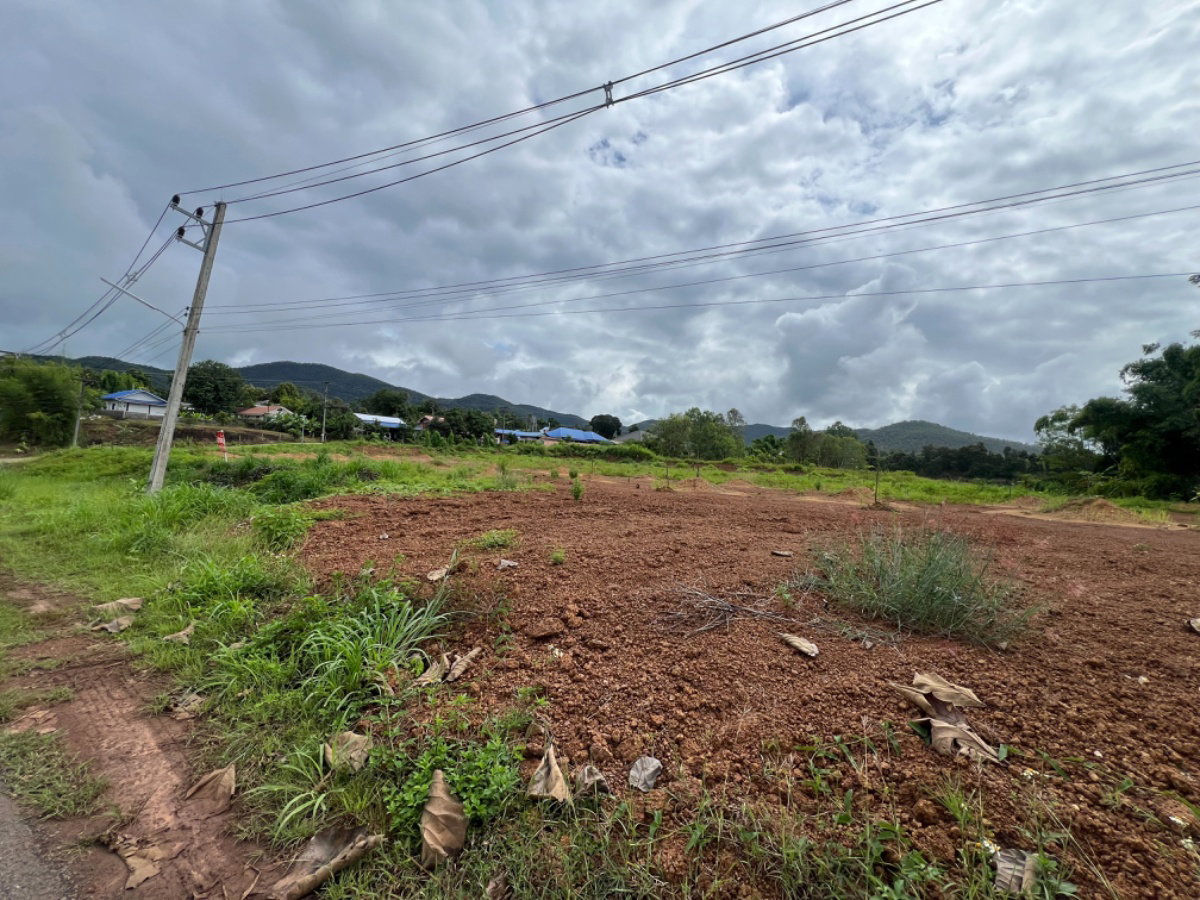 รูป ขาย ที่ดิน ดอยสะเก็ด 2 ไร่ ใกล้ สถานีตำรวจภูธรดอยสะเก็ด เชียงใหม่ (ID:267LS)  - รูปที่ 12/16