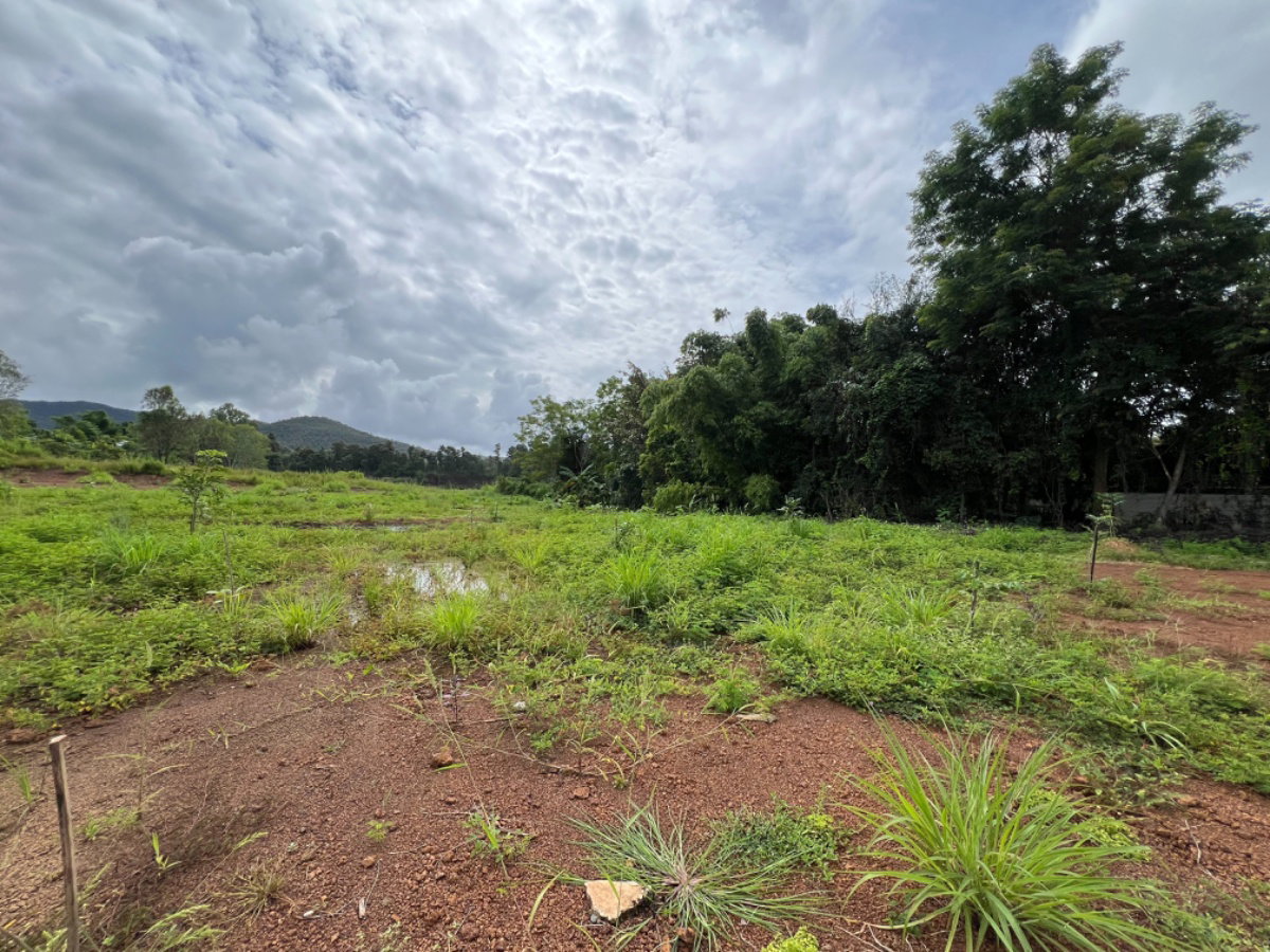 รูป ขาย ที่ดิน ดอยสะเก็ด 2 ไร่ ใกล้ สถานีตำรวจภูธรดอยสะเก็ด เชียงใหม่ (ID:267LS)  - รูปที่ 11/16