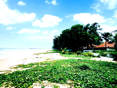ขายกิจการ : ขายรีสอร์ทติดทะเล หาดนาใต้ พังงา รีสอร์ทหรู สร้างจากไม้สัก บนที่ดินเกือบ 7 ไร่ 