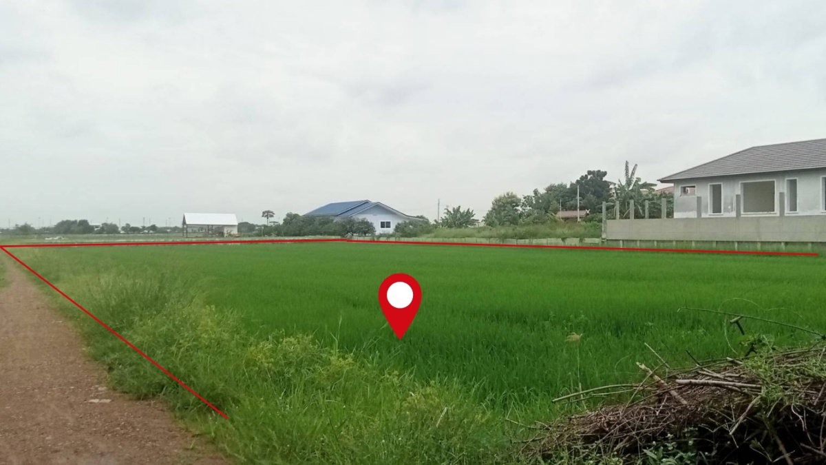รูป ขายที่ดินทำเลทอง! 2 ไร่ ลำลูกกา-คลอง6 ใกล้ถนนใหญ่+ทางด่วน ทำเลกำลังโต!! - รูปที่ 5/9