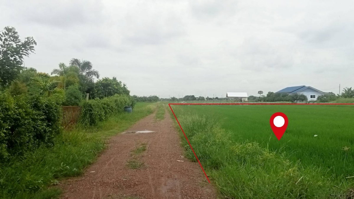 รูป ขายที่ดินทำเลทอง! 2 ไร่ ลำลูกกา-คลอง6 ใกล้ถนนใหญ่+ทางด่วน ทำเลกำลังโต!! - รูปที่ 4/9