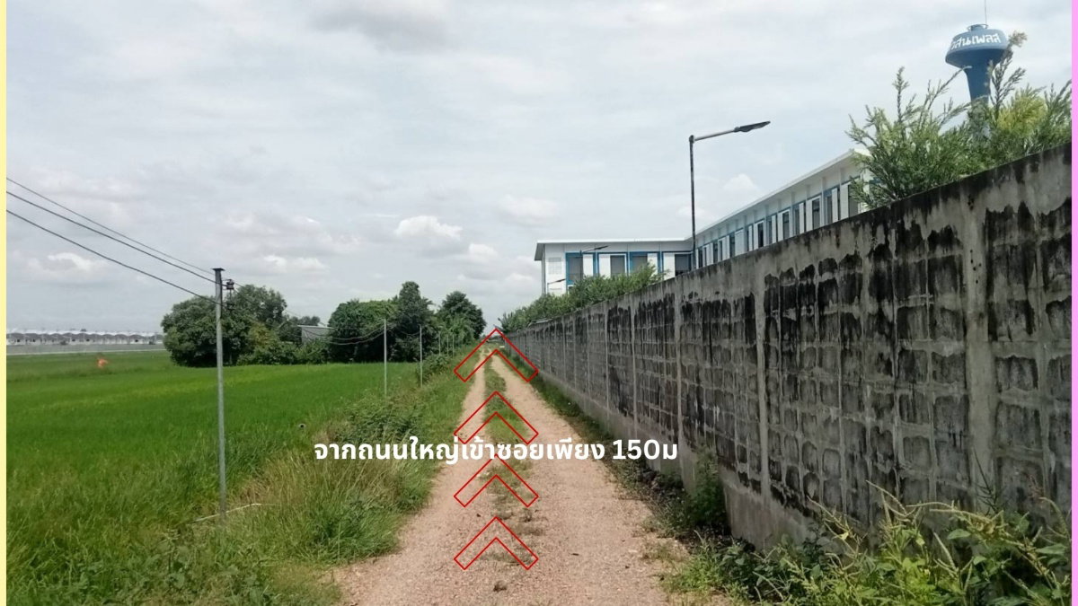 รูป ขายที่ดินทำเลทอง! 2 ไร่ ลำลูกกา-คลอง6 ใกล้ถนนใหญ่+ทางด่วน ทำเลกำลังโต!! - รูปที่ 3/9