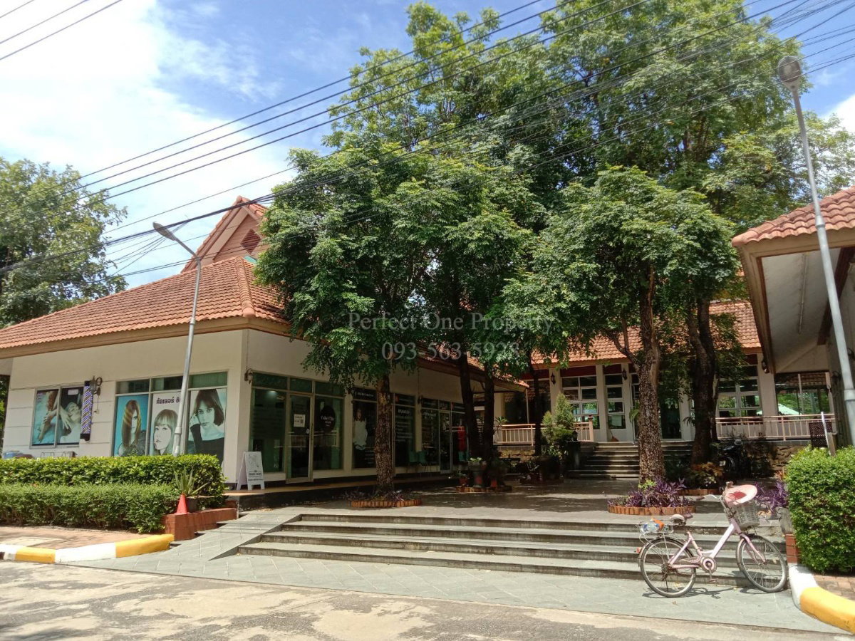 รูป ด่วน ลดเป็นล้าน!! ขายบ้านเดี่ยว หมู่บ้านภัทรา อ่อนนุช-วงแหวน สุขาภิบาล2 - รูปที่ 19/21