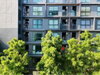 listing thumbnail image 8