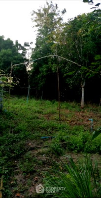 Land for sale Hui Yai Road  : Land For Sale In Huai Yai, Bang Lamung, Chon Buri (ID 2330085)