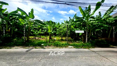Land for sale Prawet : Vacant land for sale, Srinakarin 42, Soi Supaphong 1, Intersection 8.