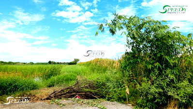 ที่ดิน ม.กรุงเทพสุวรรณภูมิ : ขายที่ดิน ฉลองกรุง กรุงเทพฯ ลดราคา ❗ 