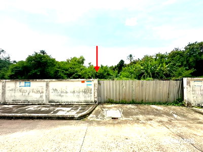 Land for sale ถนนบางบอน 3 : LAND 226 Sq.w. Bang Khae Bangkok for 6.9M