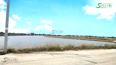 Land for sale Bang Pu Industrial Estate : Large plot of land in Samut Prakan. 🌳 Beautiful location on a concrete road. ✨