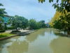 listing thumbnail image 17