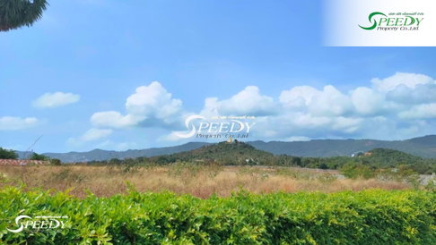Beautiful land for rent on Koh Samui, over 17 rai (27,200 sq m.) ❗ Suitable for a hotel or resort 🏨