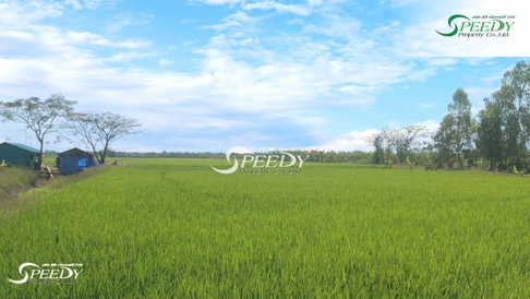 ขายที่ดิน หนองจอก กรุงเทพฯ 🌳 ที่สวย เดินทางสะดวกใกล้ถนนใหญ่ 🚗