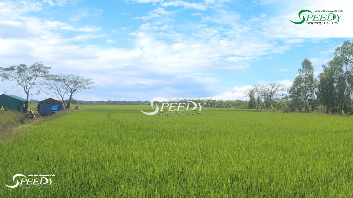 รูป ขายที่ดิน หนองจอก กรุงเทพฯ 🌳 ที่สวย เดินทางสะดวกใกล้ถนนใหญ่ 🚗 - รูปที่ 1/5