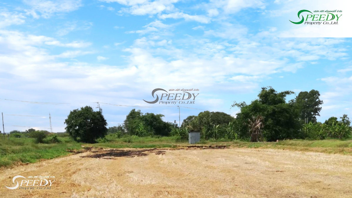 รูป ขายที่ดิน หนองจอก กรุงเทพฯ 🌳 ที่สวย เดินทางสะดวกใกล้ถนนใหญ่ 🚗 - รูปที่ 5/5