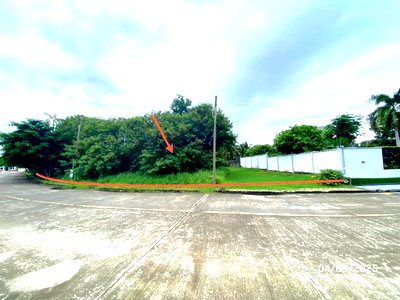 Land for sale Nakhon Chai Si District Office  : LAND 222 Sq.w. Nakhon Chai Sri Nakhon Pathom for 2.9M
