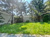 listing thumbnail image 30