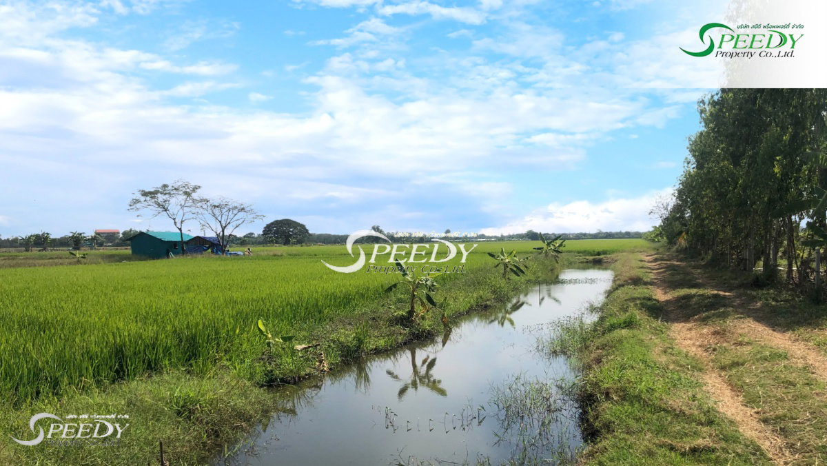 รูป ขายที่ดิน หนองจอก กรุงเทพฯ 🌳 ที่สวย เดินทางสะดวกใกล้ถนนใหญ่ 🚗 - รูปที่ 2/5