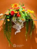 listing thumbnail image 31