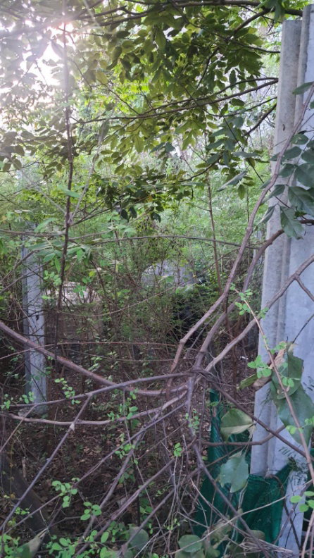 รูป ปล่อยเช่า! 💥 ที่ดิน 3 ไร่ แถวสรรพาวุธ ใกล้สำนักงานและโรงเรียน 🌳 - รูปที่ 17/38
