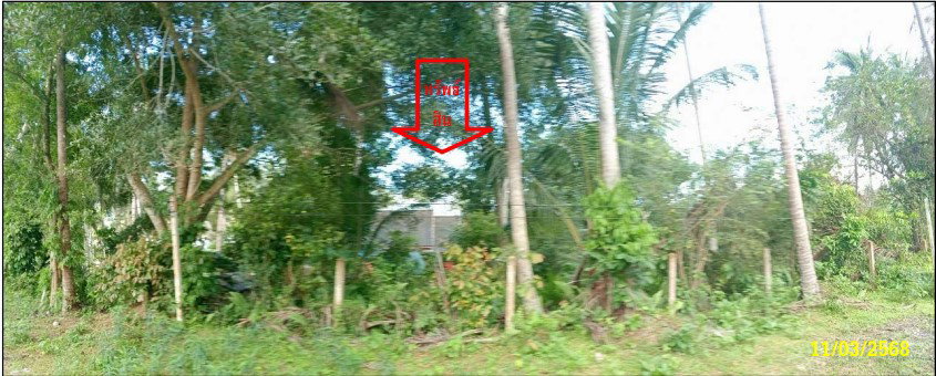 picture LAND 159 Sq.w. Ko Samui Surat Thani for 2.1M - 4/6