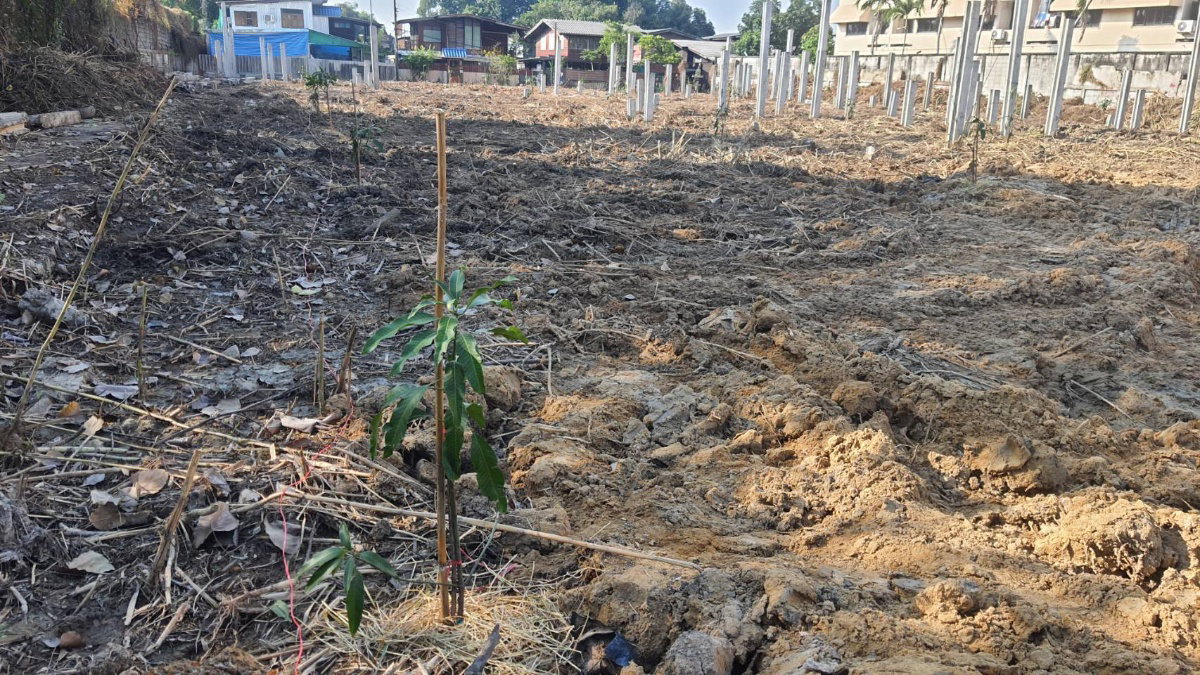 รูป ปล่อยเช่า! 💥 ที่ดิน 3 ไร่ แถวสรรพาวุธ ใกล้สำนักงานและโรงเรียน 🌳 - รูปที่ 38/38