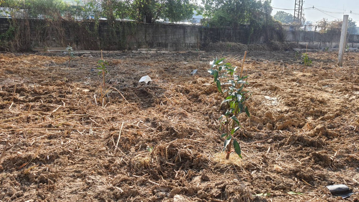 รูป ปล่อยเช่า! 💥 ที่ดิน 3 ไร่ แถวสรรพาวุธ ใกล้สำนักงานและโรงเรียน 🌳 - รูปที่ 6/38