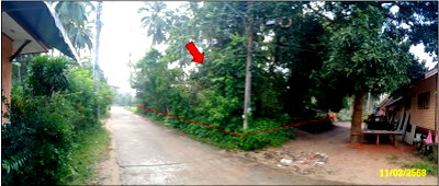 ขายที่ดิน : ที่ดินเปล่า 159 ตร.วา อำเภอเกาะสมุย จังหวัดสุราษฎร์ธานี 2.1M