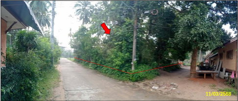 LAND 159 Sq.w. Ko Samui Surat Thani for 2.1M