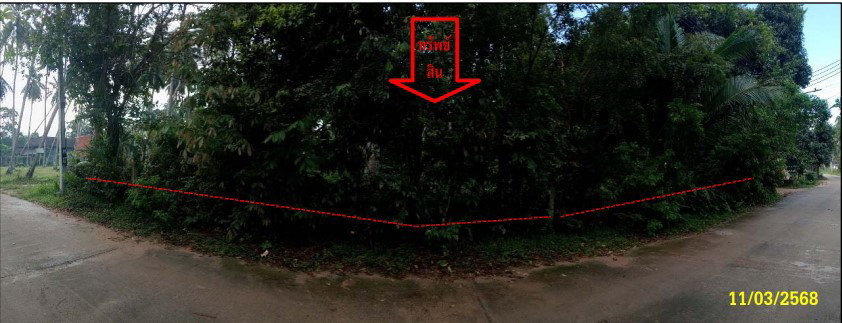 picture LAND 159 Sq.w. Ko Samui Surat Thani for 2.1M - 2/6