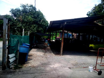 ขายที่ดิน : ด่วน ขายที่ดินอ่อนนุช 55 477 ตร.ว ใกล้ถนนพัฒนาการ ศรีนครินทร์ แยกศรีเอี่ยม ซีคอนสแควร์ แปลงสวย จากสุขุมวิท 77 เข้าไป 190 ม. โฮมออฟฟิศ 087-9074045