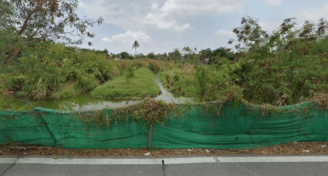 รูป ขาย ที่ดินเปล่า ถนนเพชรหึงษ์ 57 ขนาด 1-2-10 ไร่ เหมาทำร้านค้าและที่อยู่อาศัย - รูปที่ 5/10