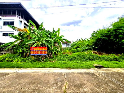 ที่ดิน สถานีรถไฟฟ้าแจ้งวัฒนะ 14 : ขายที่ดินแจ้งวัฒนะ 100 ตร.วา หมู่บ้านเมืองทองนิเวศน์1 ซอยชมรม5 ใกล้รถไฟฟ้าสายสีชมพู สถานีแจ้งวัฒนะ14