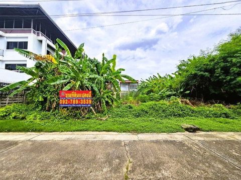 ขายที่ดินแจ้งวัฒนะ 100 ตร.วา หมู่บ้านเมืองทองนิเวศน์1 ซอยชมรม5 ใกล้รถไฟฟ้าสายสีชมพู สถานีแจ้งวัฒนะ14