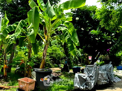 Land for sale True Digital Park : Land For Sale In Bang Na Nuea, Bang Na, Near BTS Udom Suk (ID 2349499)