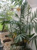 listing thumbnail image 9